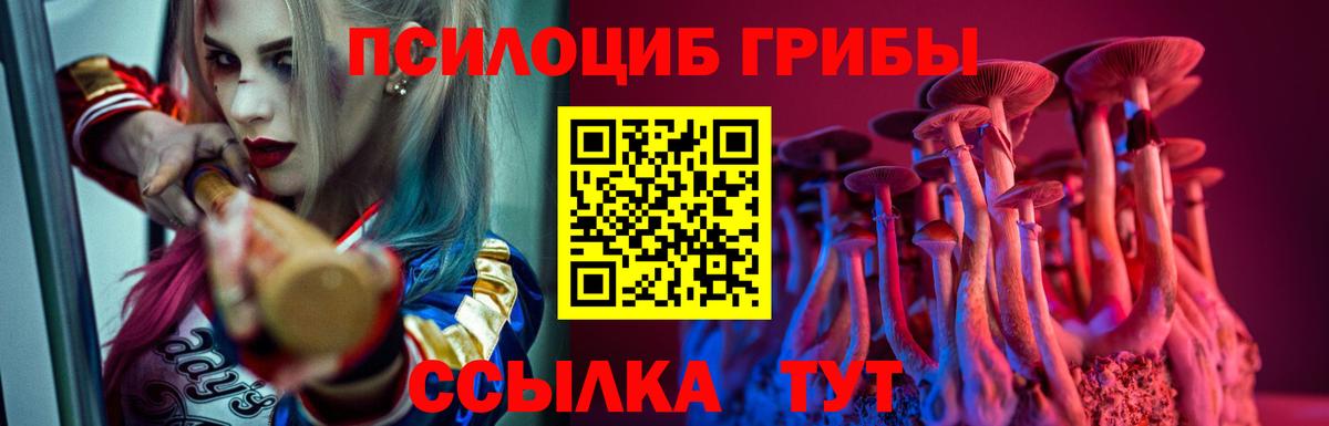 Галлюциногенные грибы MAGIC MUSHROOMS  Псилоцибиновые грибы прущие грибы  Вход с VPN  Каменск-Уральский 